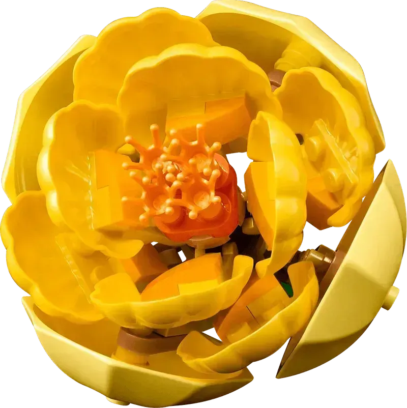 LEGO Blumenarrangement 10345 Botanische Sammlung