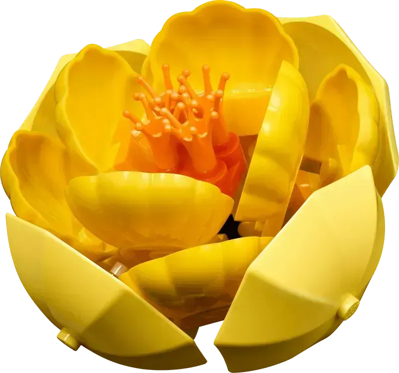 LEGO Blumenarrangement 10345 Botanische Sammlung