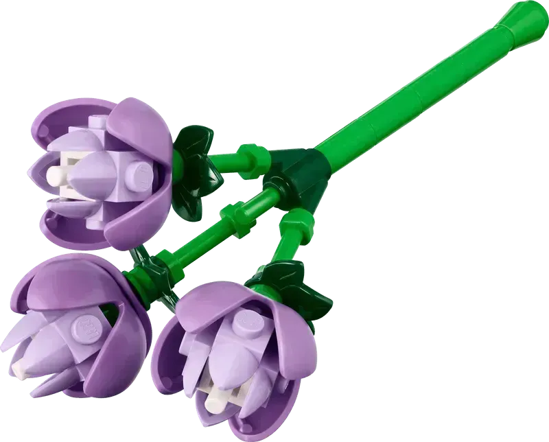 LEGO Blumenarrangement 10345 Botanische Sammlung
