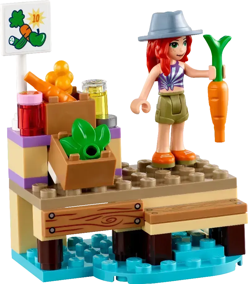 LEGO Woonboot op het kanaal 41702 Friends