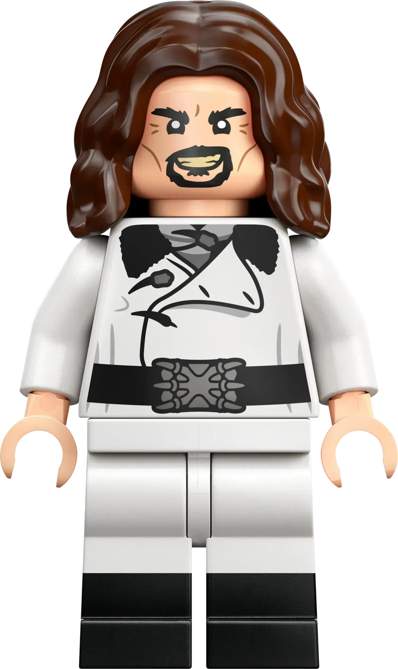 LEGO Trimagisches Turnier: Das Ziel 76440 Harry Potter