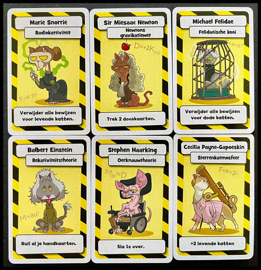 Schrödingers Katten