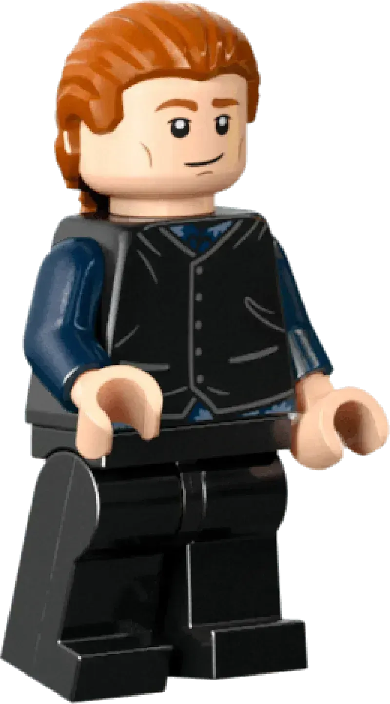 LEGO Das Nest – Sammleredition 76437 Harry Potter