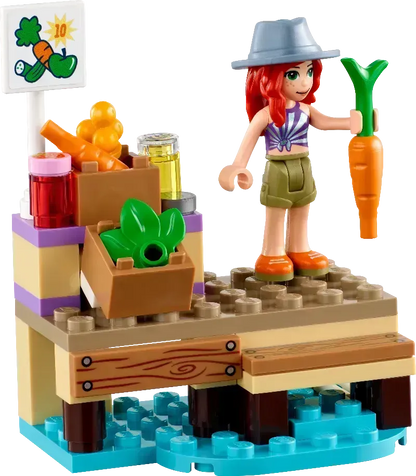 LEGO Woonboot op het kanaal 41702 Friends