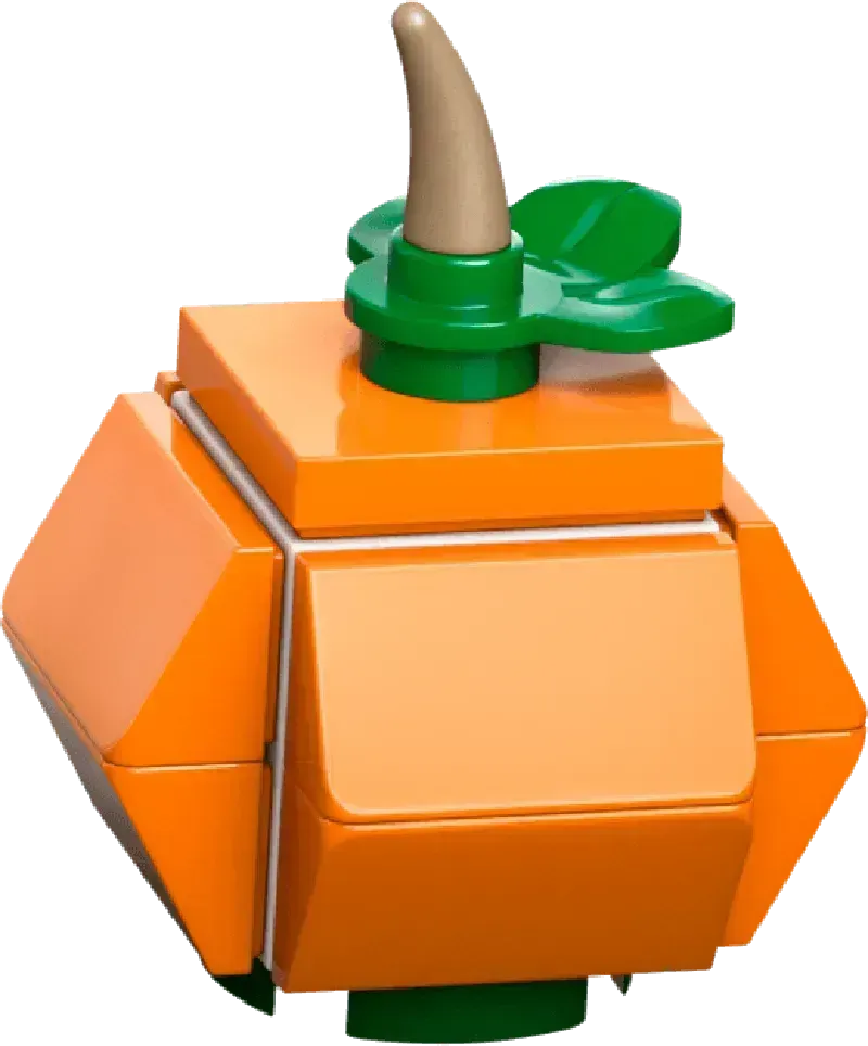 LEGO Seidenschnabel 76427 Harry Potter