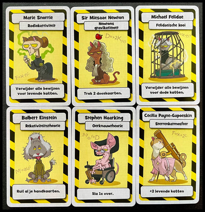 Schrödingers Katten